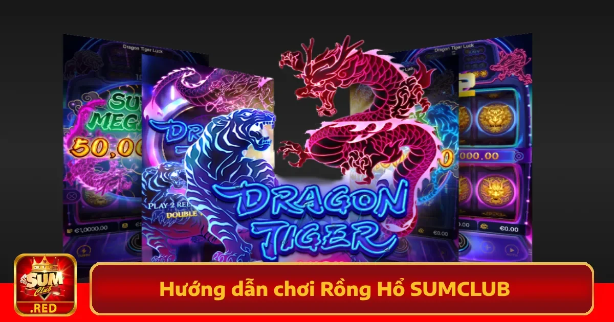 Hướng Dẫn Chơi Rồng Hổ SUMCLUB & Những Lưu Ý Cần Nắm